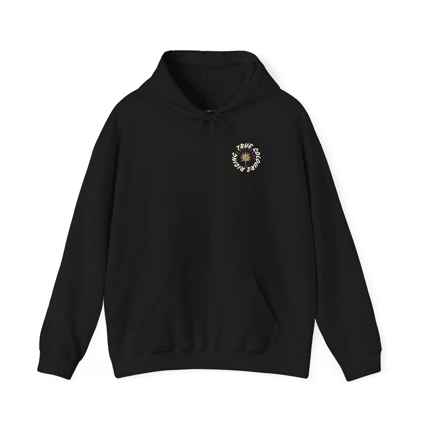 black hoodie with small chest logo reading True Colours Rising in circular design