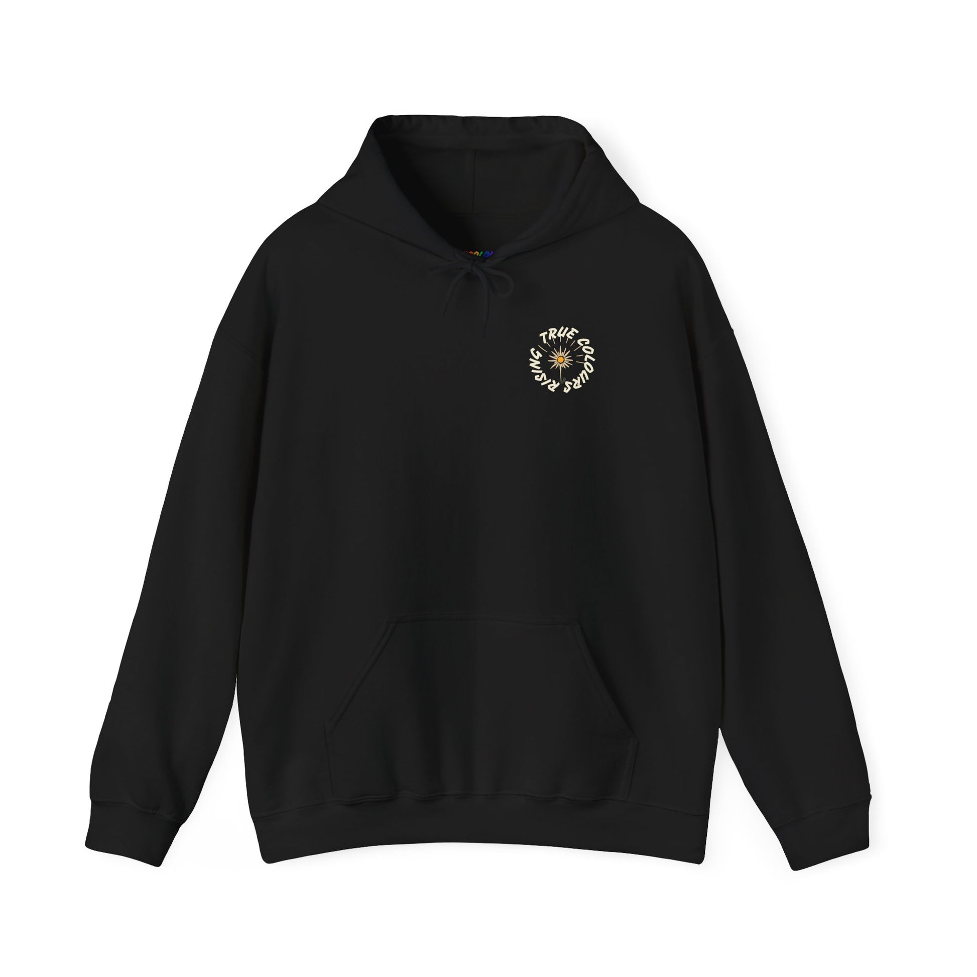 black hoodie with small chest logo reading True Colours Rising in circular design